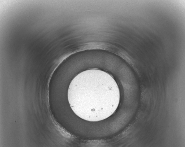 X0000062150836200512121305