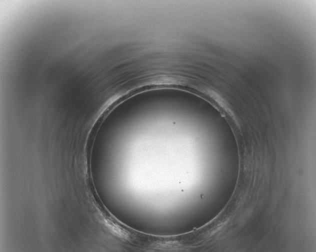 X0000062150837200512121305