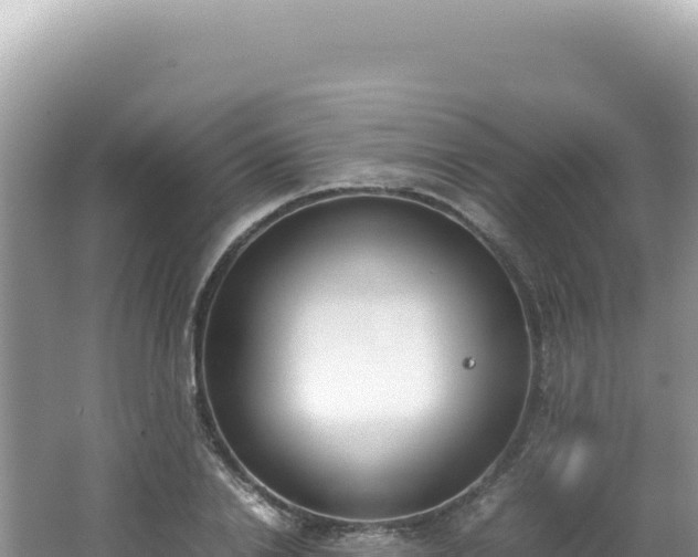 X0000062150838200512121305