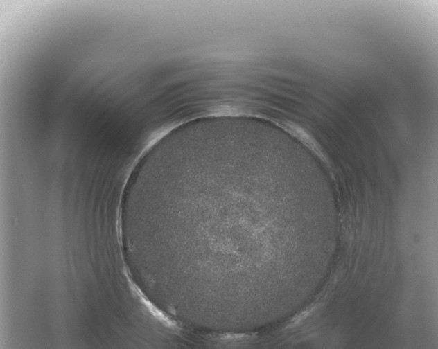 X0000062150839200512121305