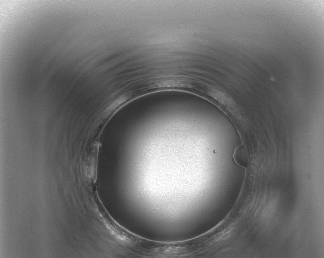 X0000062150841200512121305