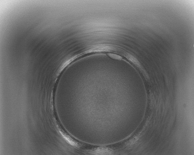 X0000062150842200512121305