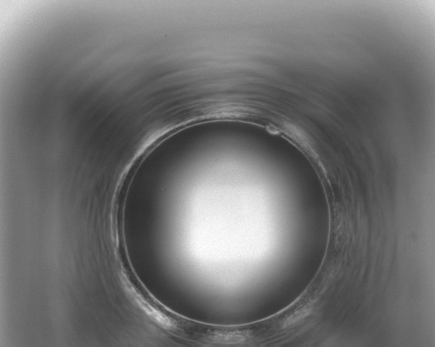 X0000062150843200512121305