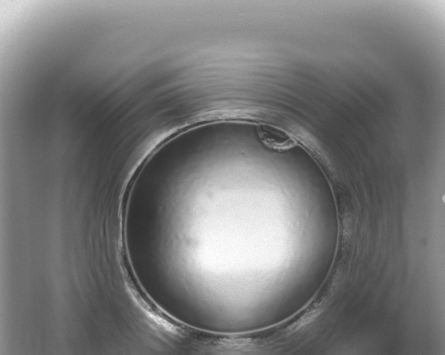 X0000062150844200512121305