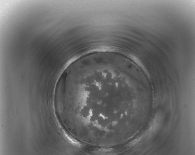 X0000062150845200512121305