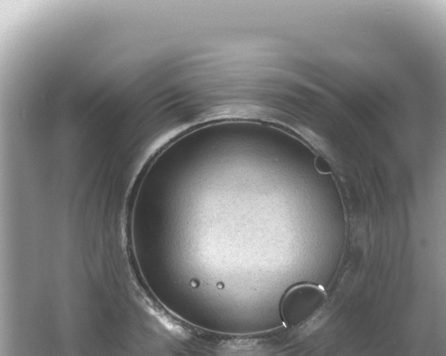 X0000062150846200512121305