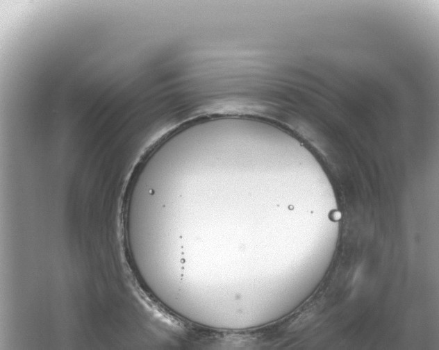 X0000062150848200512121305