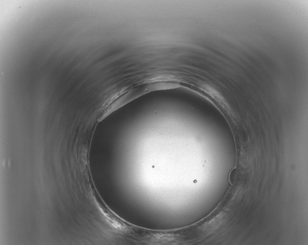 X0000062150849200512121305