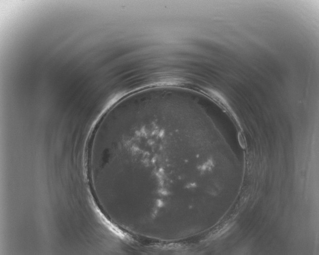 X0000062150851200512121305