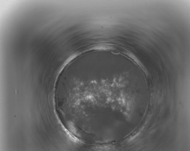 X0000062150853200512121305