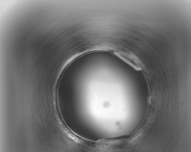 X0000062150854200512121305