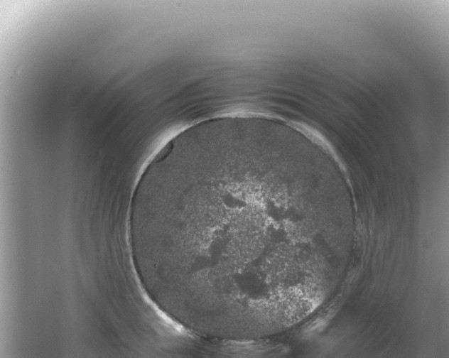 X0000062150855200512121305