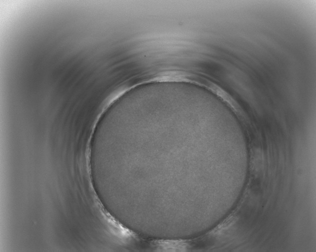 X0000062150856200512121306