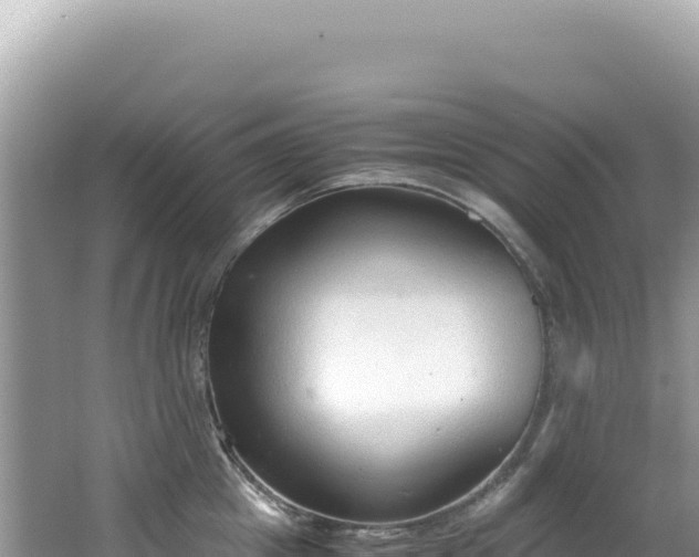 X0000062150857200512121306