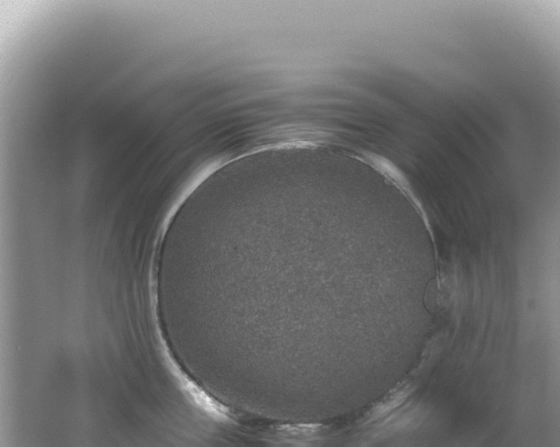 X0000062150859200512121306