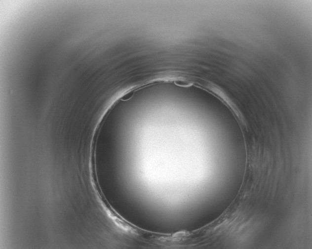 X0000062150861200512121306