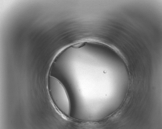 X0000062150862200512121306