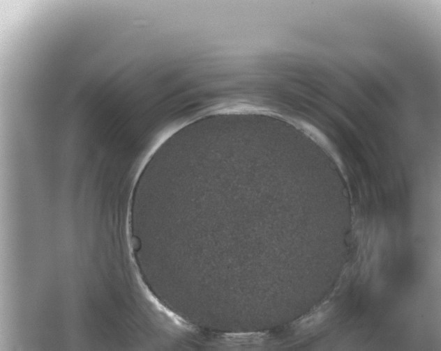 X0000062150863200512121306