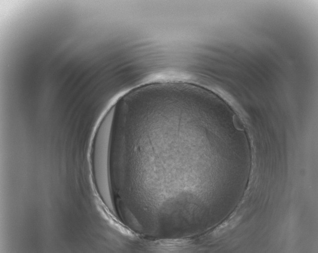 X0000062150864200512121306