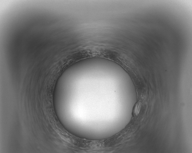 X0000062150865200512121305