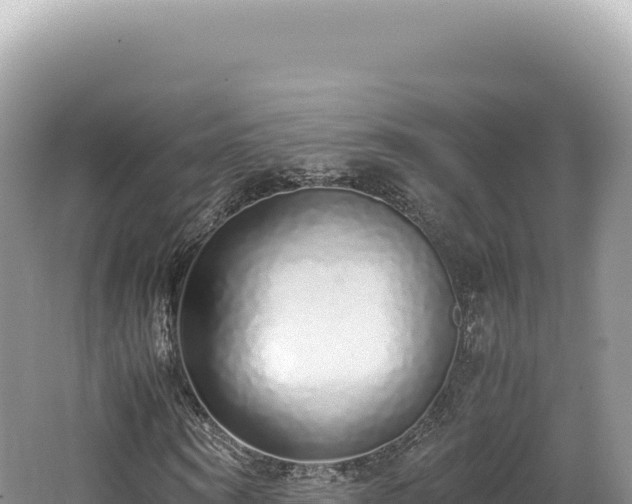 X0000062150866200512121305