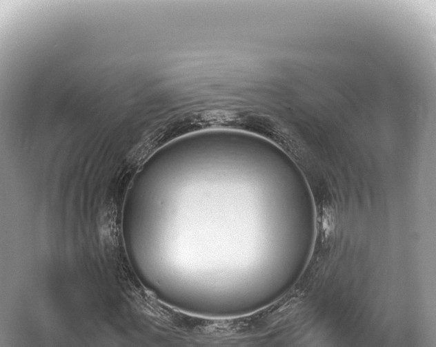 X0000062150867200512121305