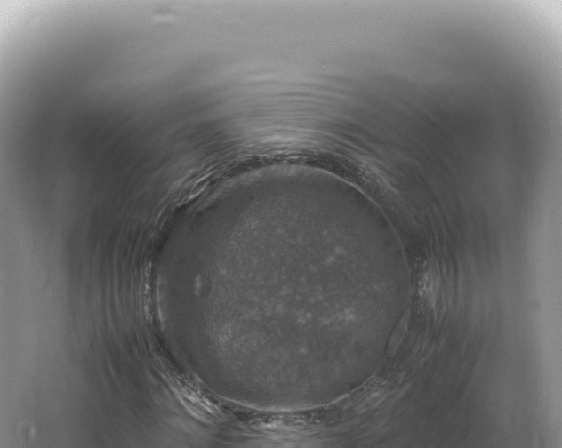 X0000062150868200512121305