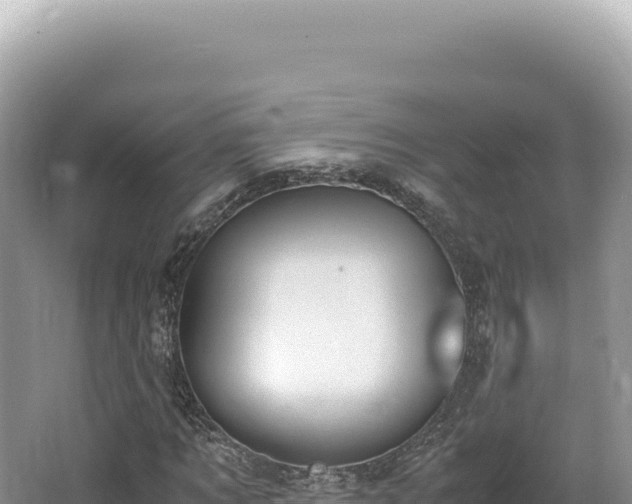 X0000062150869200512121305