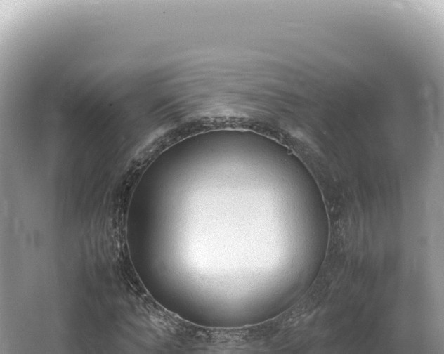 X0000062150870200512121305