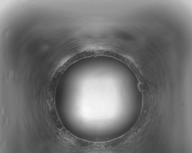 X0000062150871200512121305