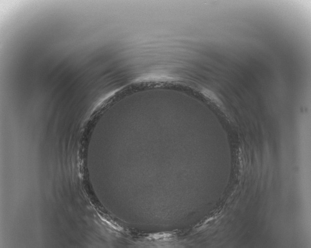 X0000062150872200512121305