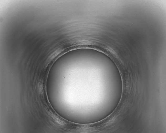 X0000062150873200512121305