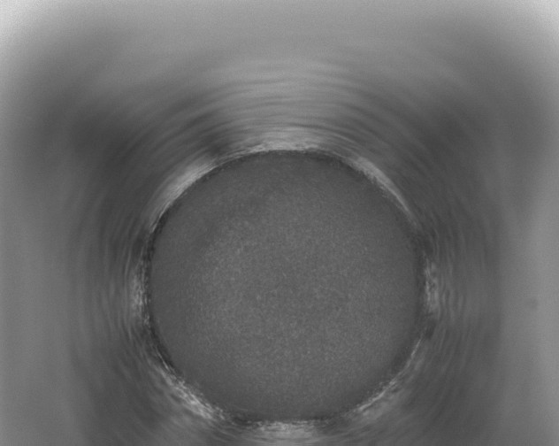 X0000062150874200512121305