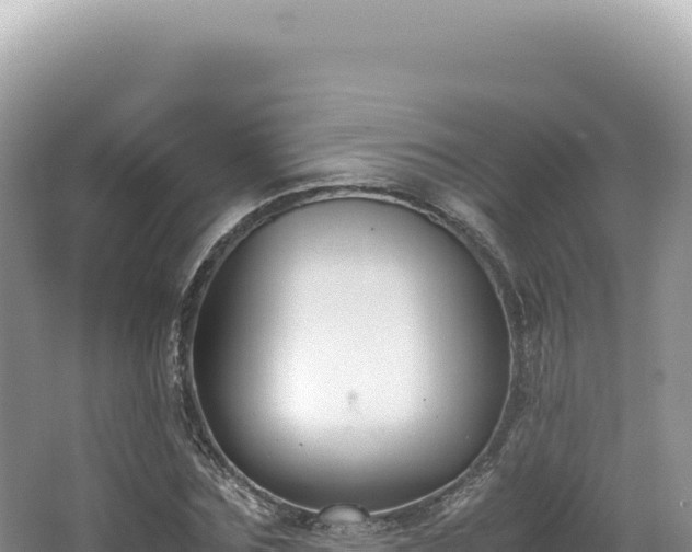 X0000062150875200512121305