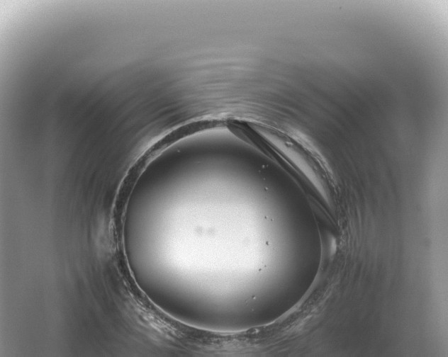 X0000062150876200512121305