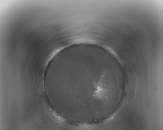 X0000062150877200512121305