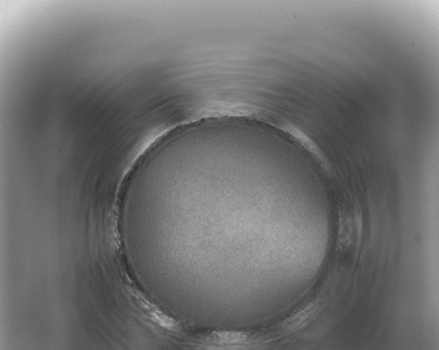 X0000062150878200512121305