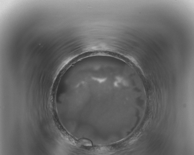 X0000062150879200512121305