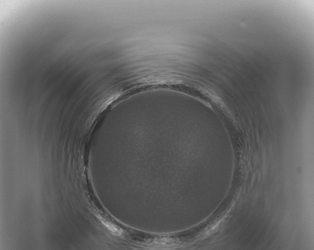 X0000062150881200512121305