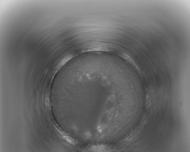 X0000062150882200512121305