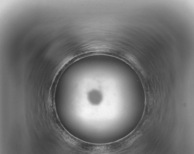 X0000062150883200512121305