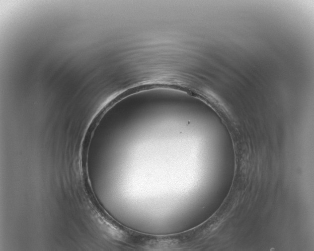 X0000062150884200512121305