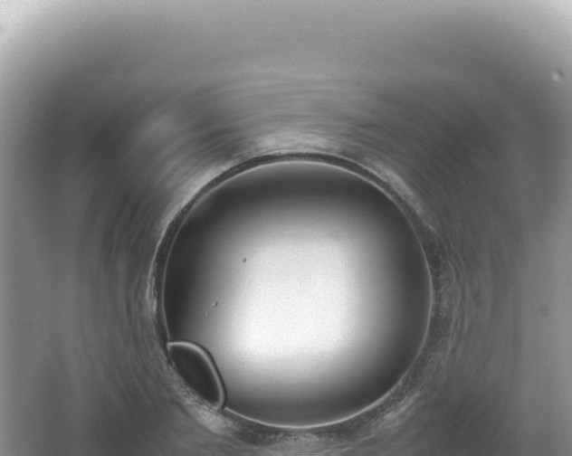 X0000062150885200512121304