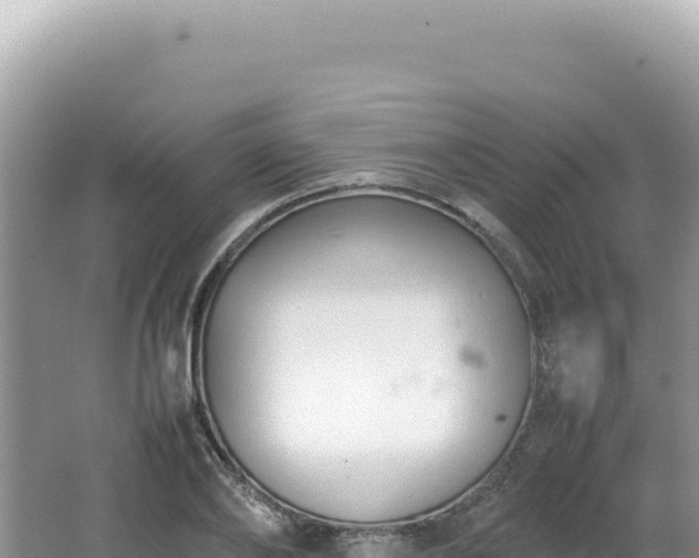 X0000062150886200512121304