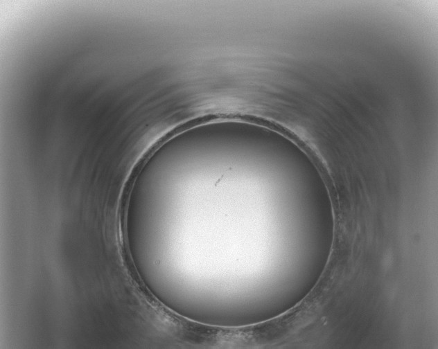 X0000062150887200512121304