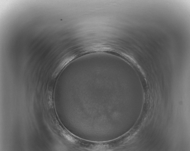 X0000062150889200512121304