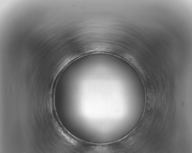 X0000062150890200512121304