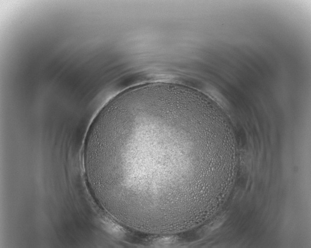 X0000062150891200512121304