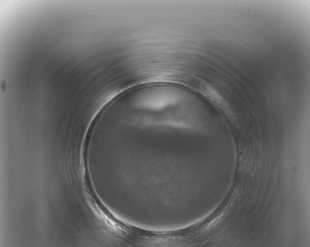 X0000062150892200512121304