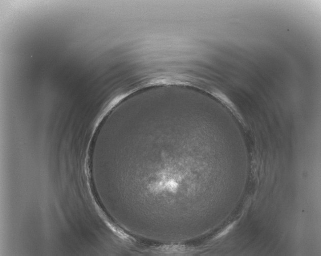 X0000062150893200512121304